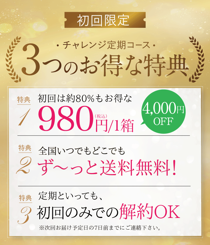 チャレンジコース6つのお得な特典