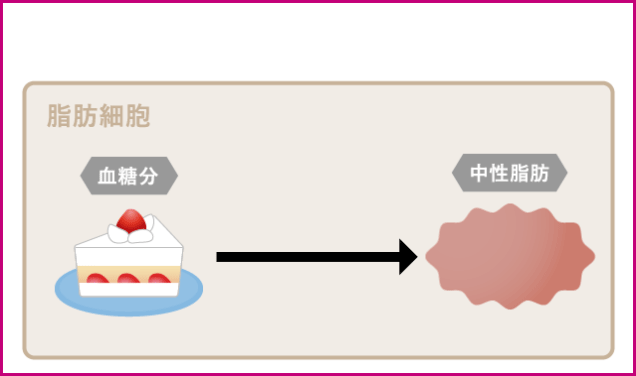 エラグ酸を摂取して中性脂肪の合成を抑制サポートする様子
