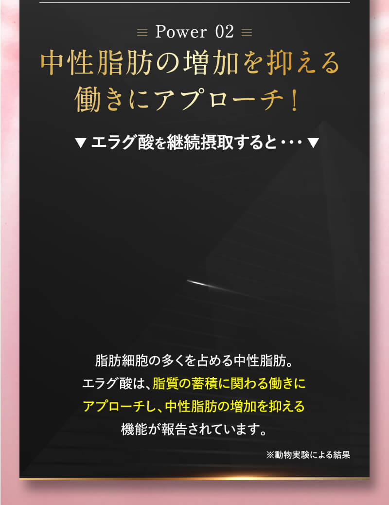 パワー02 中性脂肪の増加を抑える働きにアプローチ！