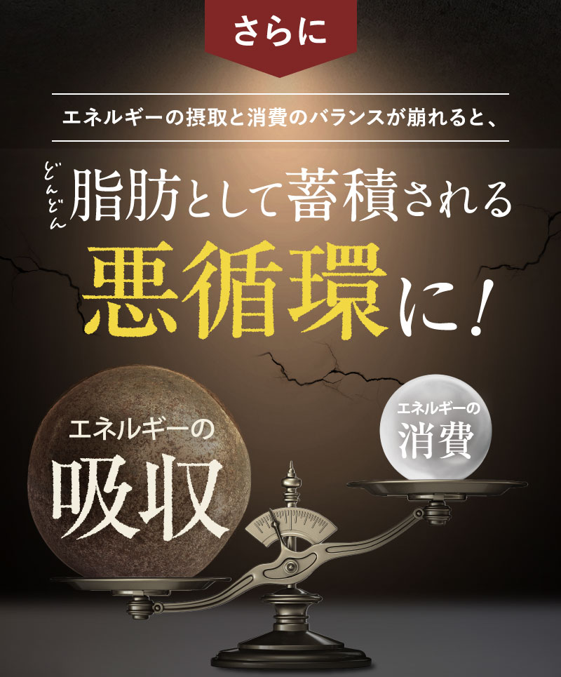 脂肪として蓄積される悪循環に！