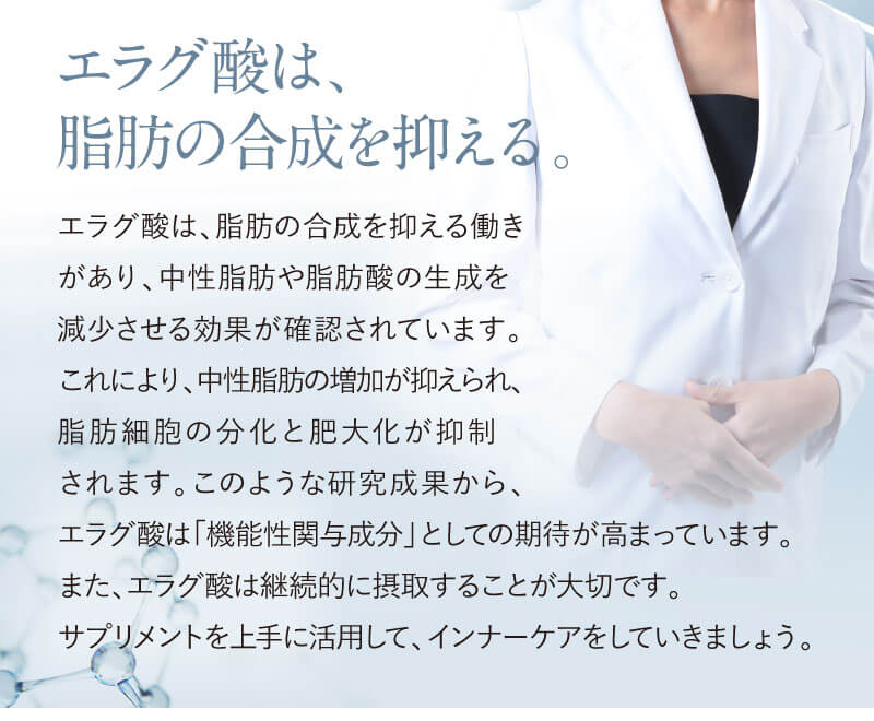 エラグ酸は、脂肪の合成を抑える働きがあり、中性脂肪や脂肪酸の生成を減少させる効果が確認されています。これにより、中性脂肪の増加が抑えられ、脂肪細胞の分化と肥大化が抑制されます。このような研究成果から、エラグ酸は「機能性関与成分」としての期待が高まっています。また、エラグ酸は継続的に摂取することが大切です。サプリメントを上手に活用して、インナーケアをしていきましょう。