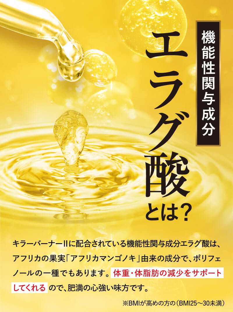 体重・体脂肪の減少をサポートしてくれるので、肥満の心強い味方です。