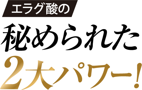 秘められた2大パワー！